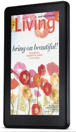 21500 kindle pto