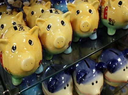 21506 pigs