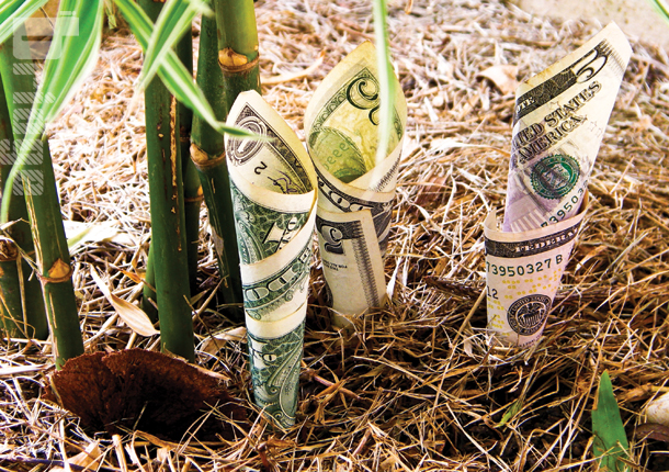 34214 money growth