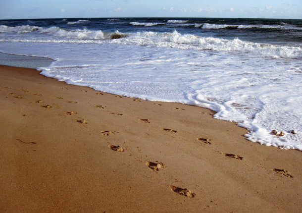 36827 32 footprints