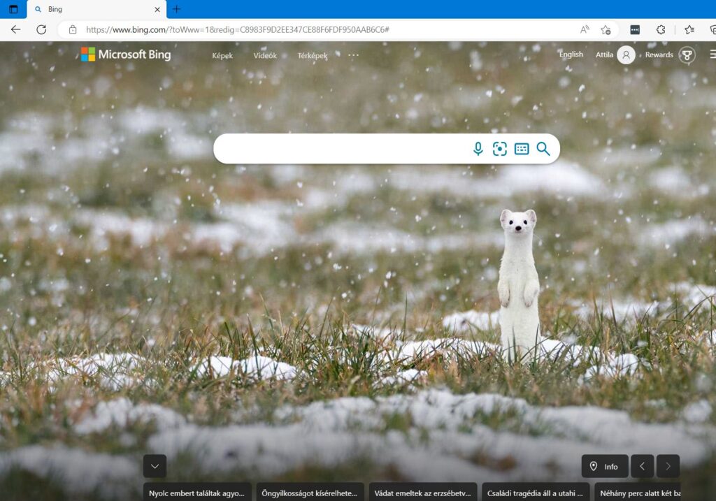 Microsoft Bing