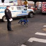 Digidog New York