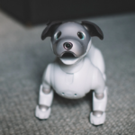 Aibo robot kutya