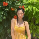 Model AI MI