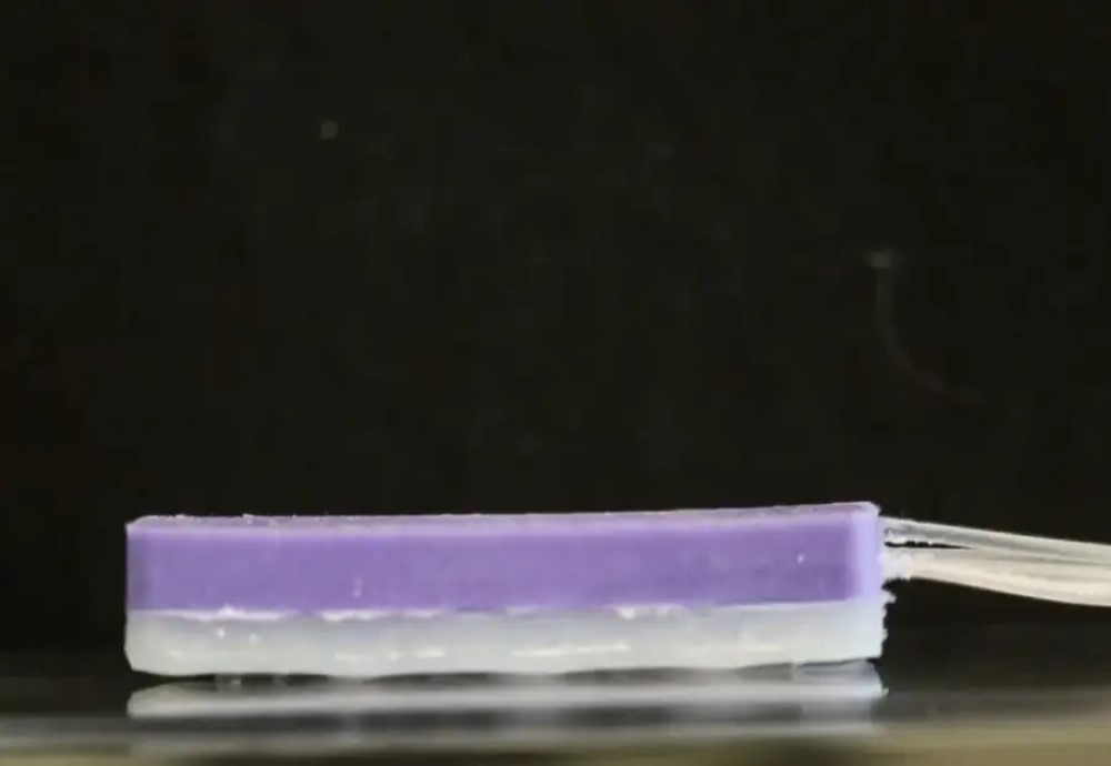csiga robot