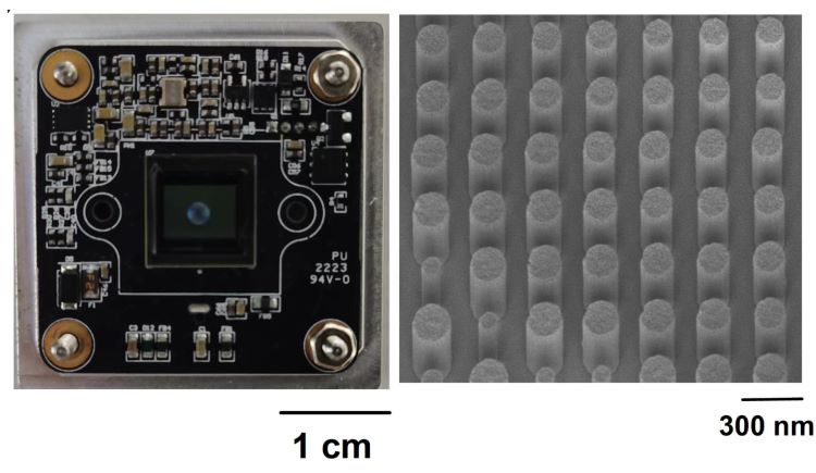 figure 1a and 1e