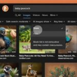 DuckDuckGo